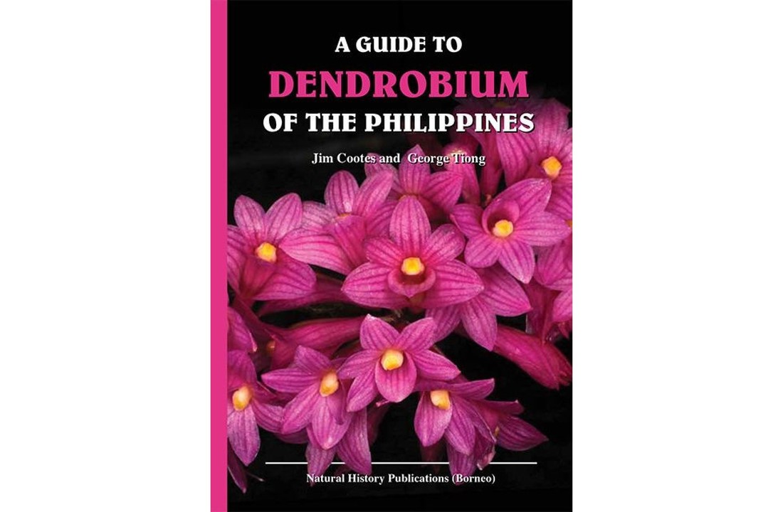 A Guide to Dendrobium of the Philippines