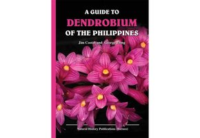 A Guide to Dendrobium of the Philippines