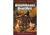 Amphibians and Reptiles of Brunei
