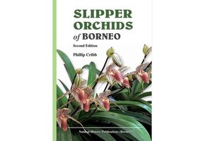 Slipper Orchids of Borneo