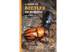 A Guide to Beetles of Borneo