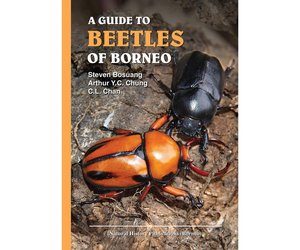 A GUIDE TO BEETLES OF BORNEO ボルネオの甲虫図鑑 A GUIDE TO BEETLES OF BORNEO ボルネオの甲虫図鑑 本