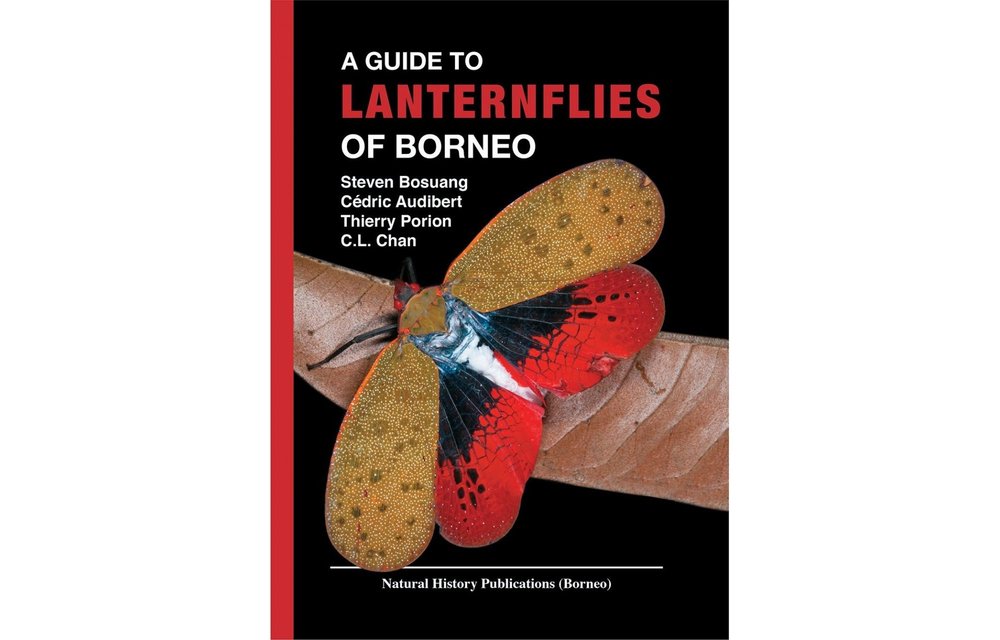 A Guide to Lanternflies of Borneo