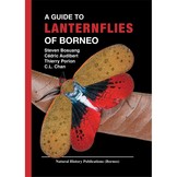 A Guide to Lanternflies of Borneo