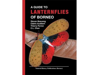A Guide to Lanternflies of Borneo
