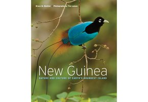 New Guinea