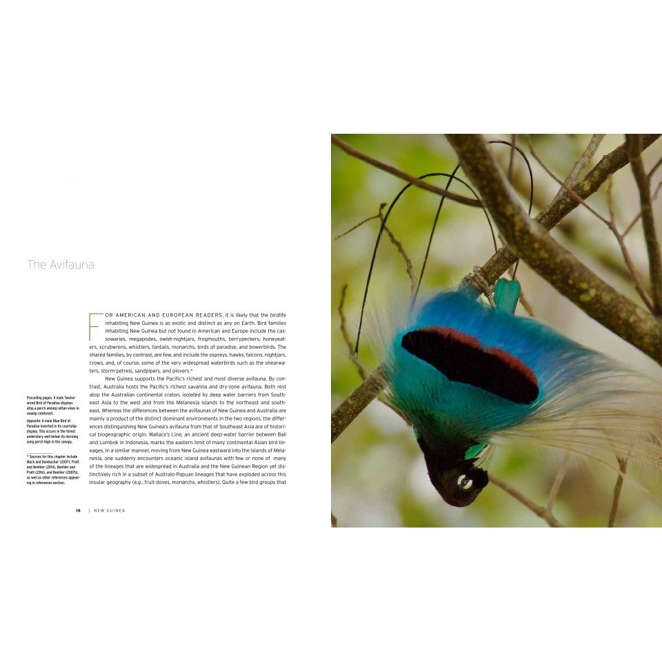 New Guinea - Nature and Culture of Earth's Grandest Island
