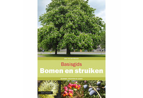 Basisgids Bomen en struiken