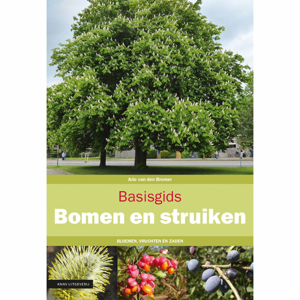 Basisgids Bomen en struiken