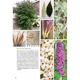 Basisgids Bomen en struiken