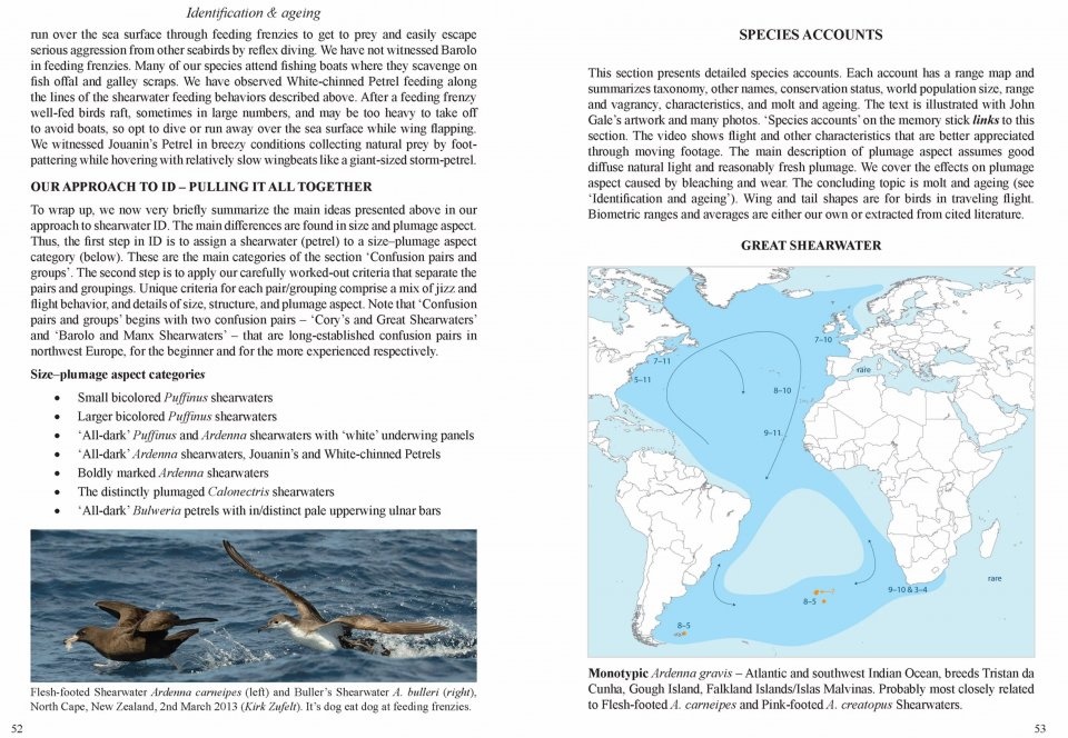 Multimedia Identification Guide to North Atlantic Seabirds: Shearwaters, Jouanin's & White-Chinned Petrels
