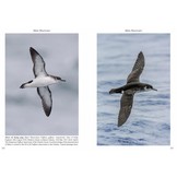 Multimedia Identification Guide to North Atlantic Seabirds: Shearwaters, Jouanin's & White-Chinned Petrels
