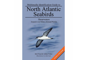 Multimedia Identification Guide to North Atlantic Seabirds: Shearwaters, Jouanin's & White-Chinned Petrels