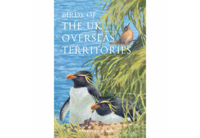 Birds of the UK Overseas Territories