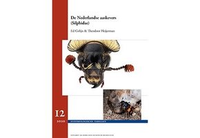 De Nederlandse Aaskevers (Silphidae)
