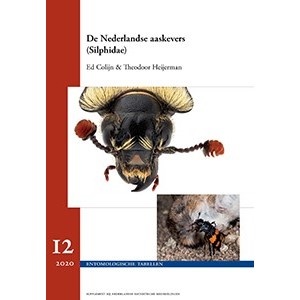 De Nederlandse Aaskevers (Silphidae)