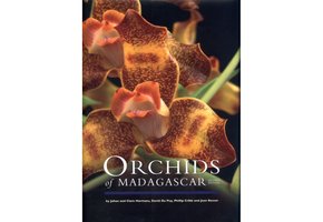 Orchids of Madagascar