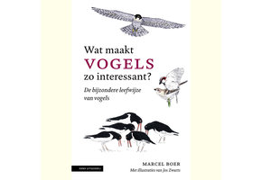 Wat maakt vogels zo interessant?