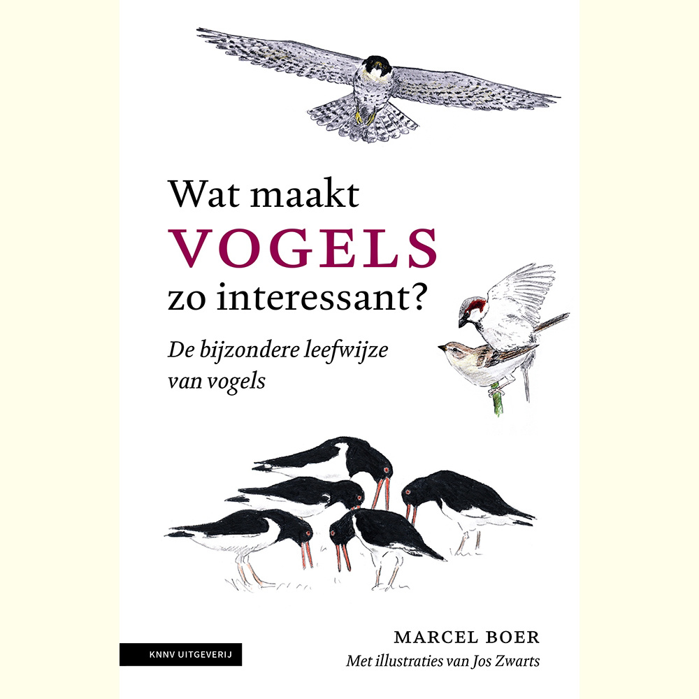 Wat maakt vogels zo interessant? De bijzondere leefwijze van vogels