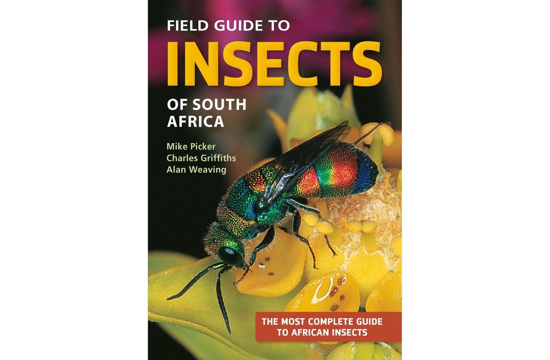 Field Guide to Insects of South Africa