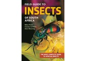 Field Guide to Insects of South Africa