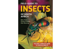 Field Guide to Insects of South Africa