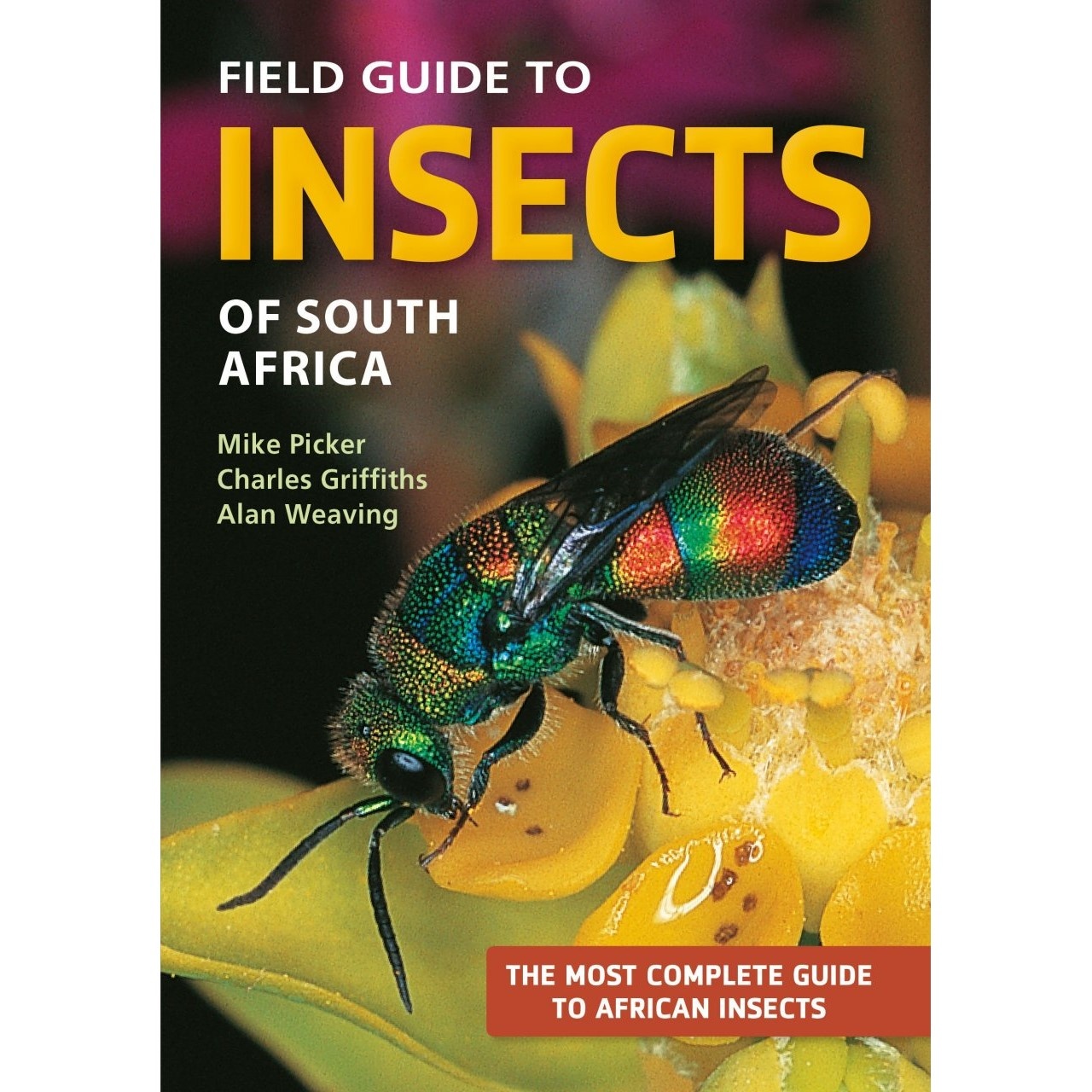 Field Guide to Insects of South Africa