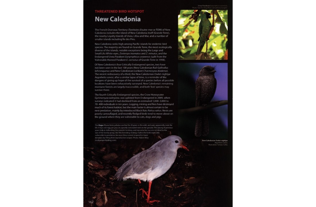 The World's Rarest Birds