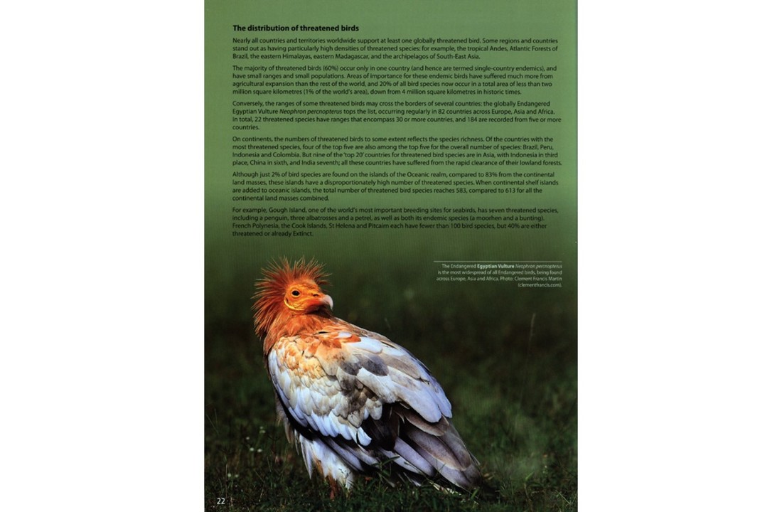 The World's Rarest Birds