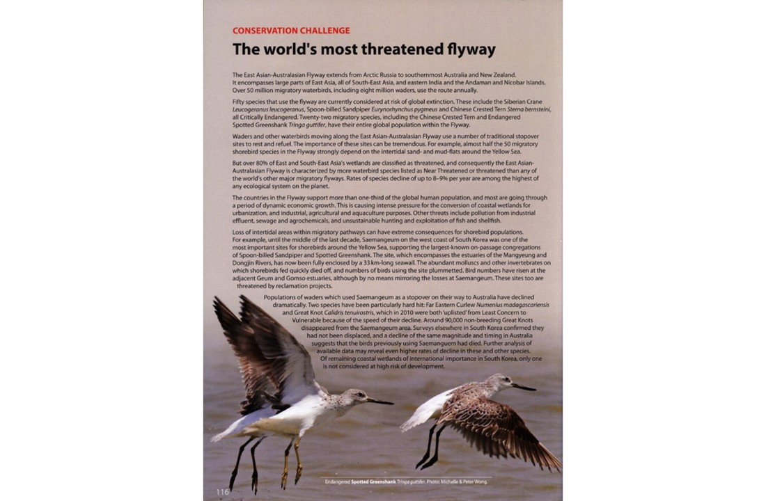 The World's Rarest Birds