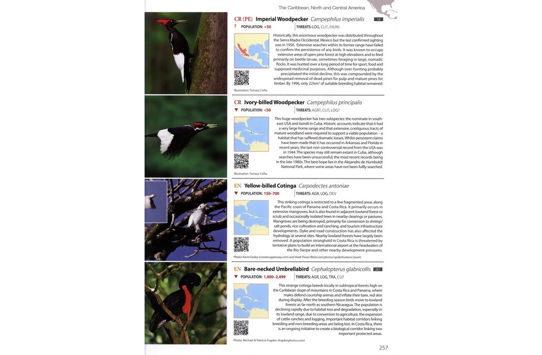 The World's Rarest Birds