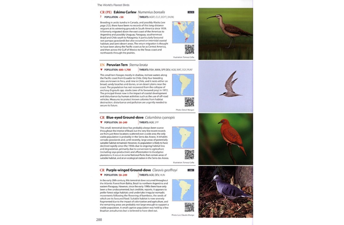 The World's Rarest Birds