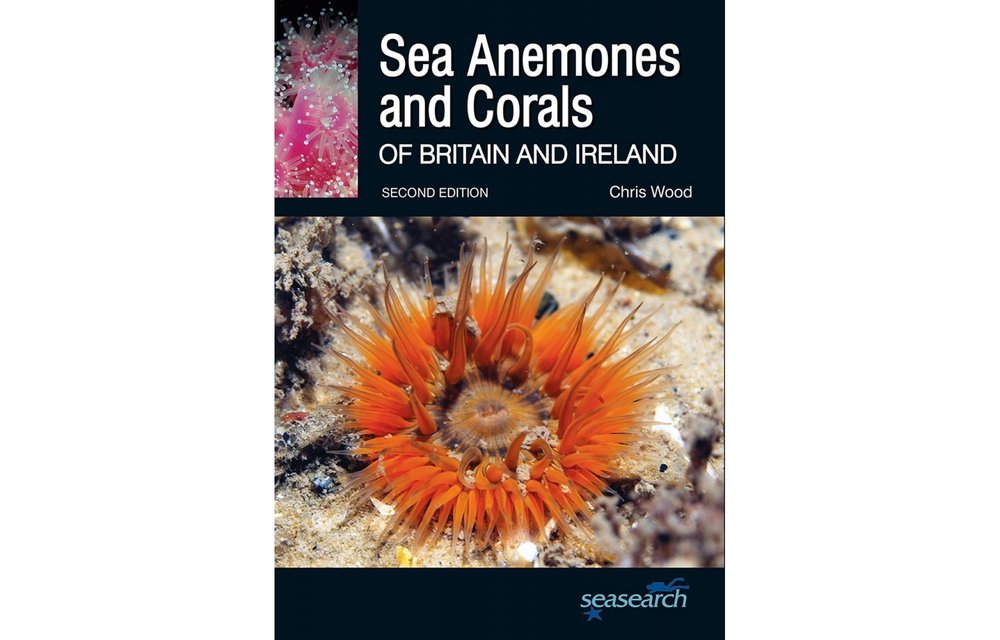 Sea Anemones and Corals of Britain and Ireland