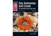 Sea Anemones and Corals of Britain and Ireland