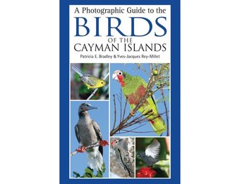 A Photographic Guide to the Birds of the Cayman Islands