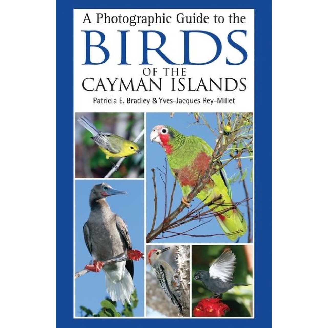 A Photographic Guide to the Birds of the Cayman Islands