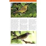 A Photographic Guide to the Birds of the Cayman Islands