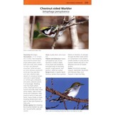 A Photographic Guide to the Birds of the Cayman Islands