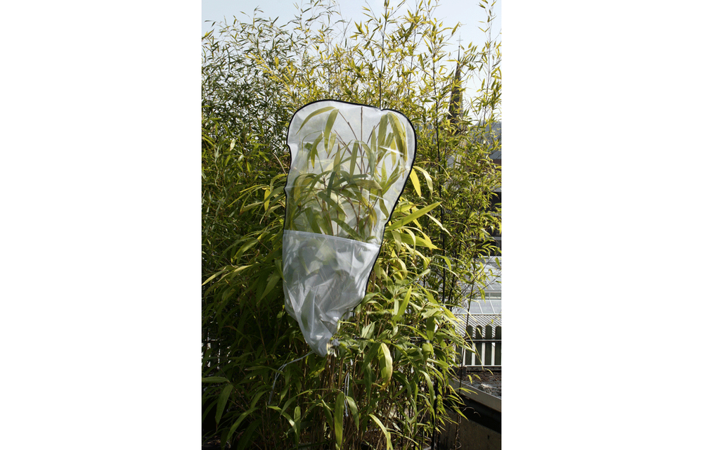 Rearing Sleeve 100x50