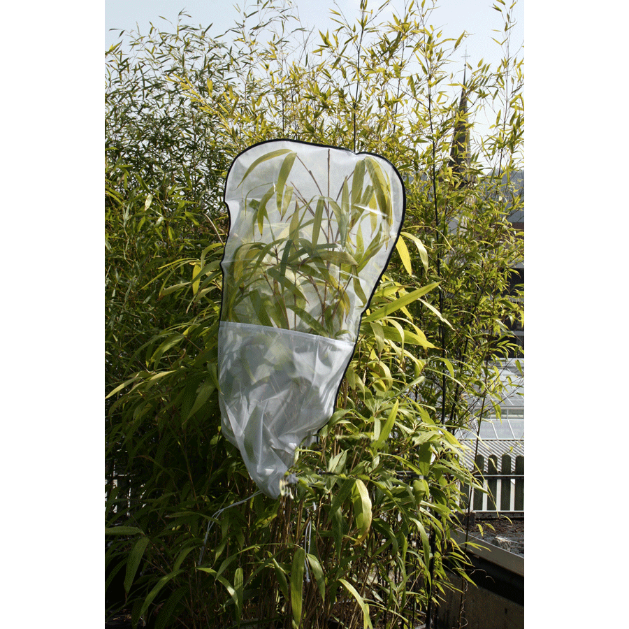 Aerarium Rearing Sleeve 100x50