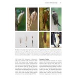 The Biology of Moult in Birds