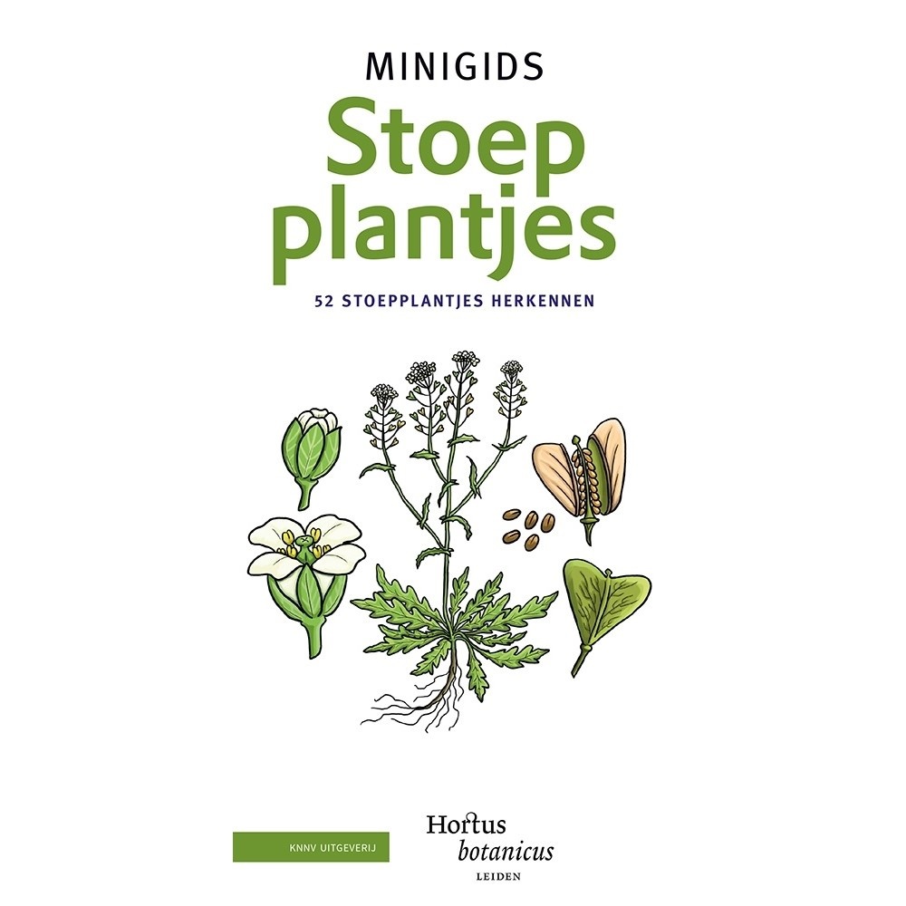 Minigids Stoepplantjes 50 stoepplantjes herkennen