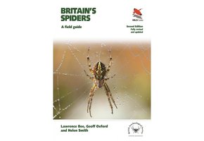 Britain's Spiders