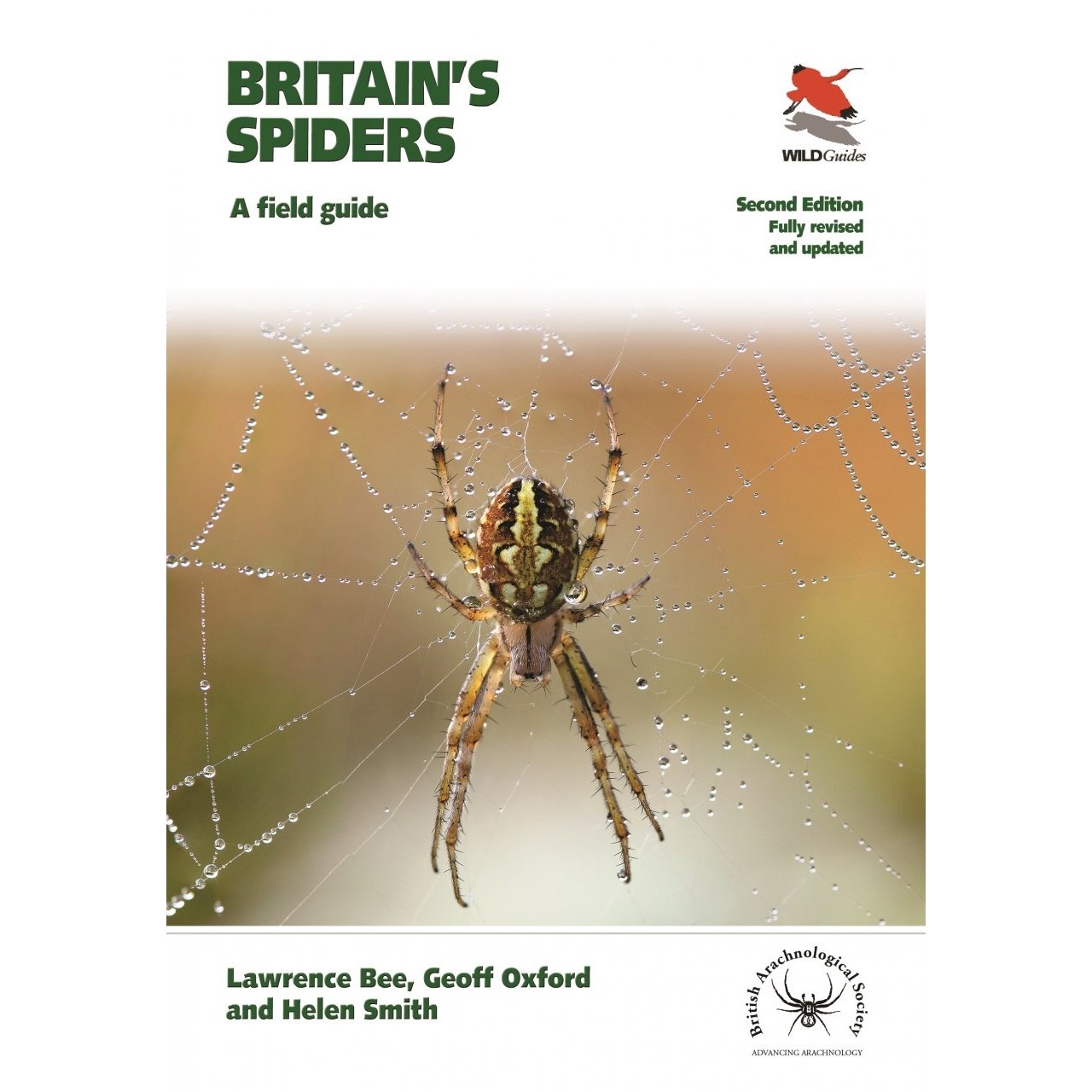 Britain's Spiders - A field guide