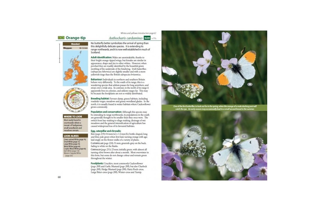 Britain's Butterflies - A Field Guide to the Butterflies of Great Britain and Ireland