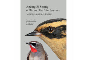 Ageing & Sexing of Migratory East Asian Passerines