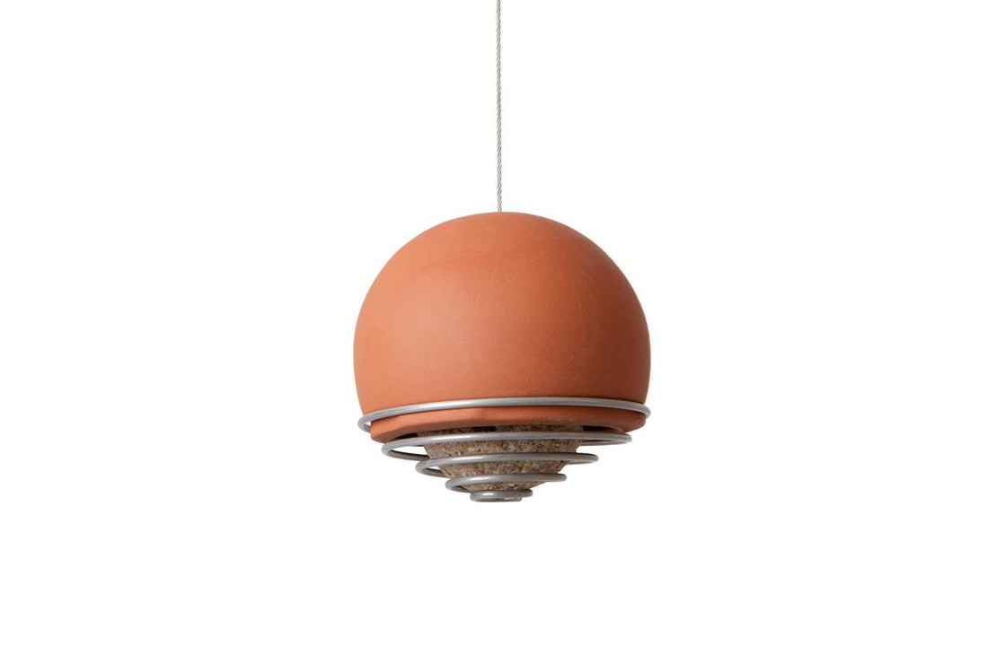 Birdball Belle