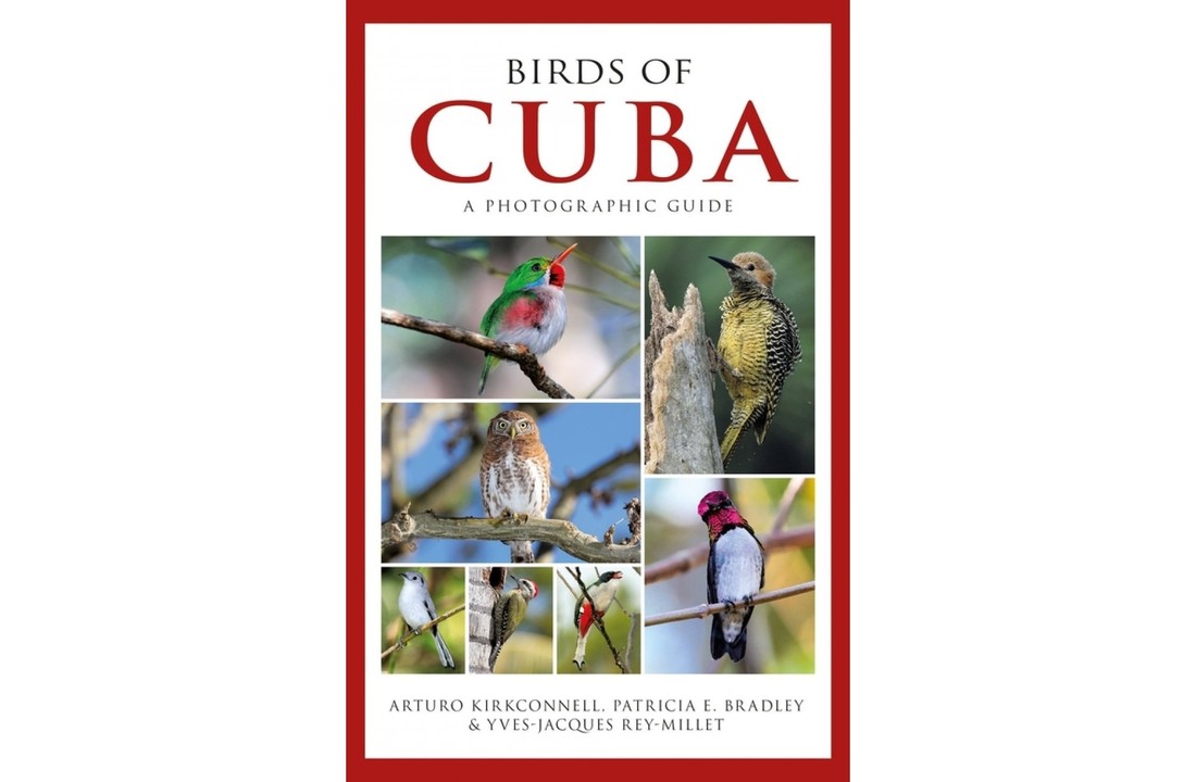 Birds of Cuba - A Photographic Guide