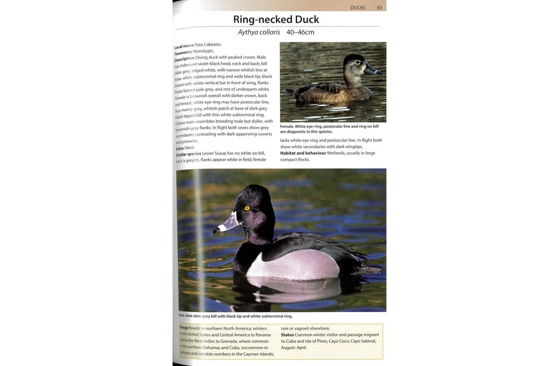 Birds of Cuba - A Photographic Guide