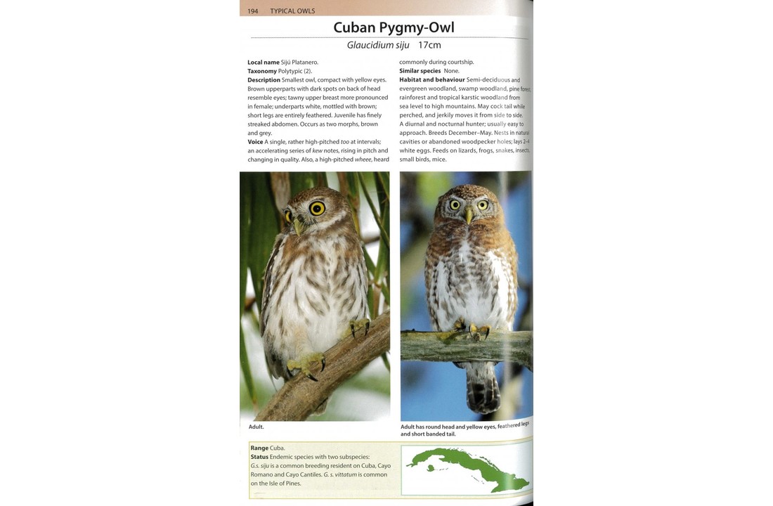 Birds of Cuba - A Photographic Guide